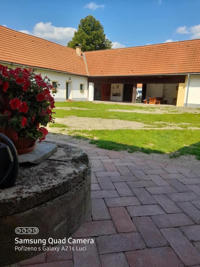 Ferienwohnung Kojan Jílovice Exterior foto