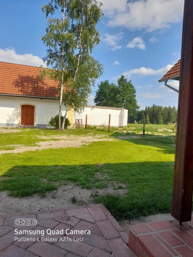 Ferienwohnung Kojan Jílovice Exterior foto